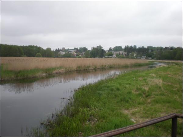  - Краявіды . 