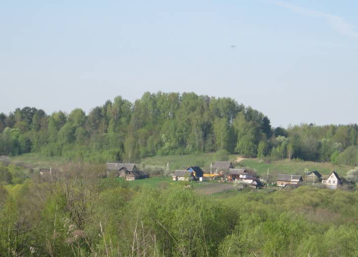 Horodyszcze Nowe. Grodzisko 