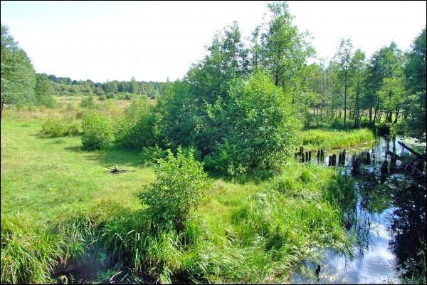 Bieršty. In the village 