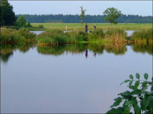 Нароши |  Пейзажи . Нарашовское озеро. Вид с западной стороны. Лето 2009