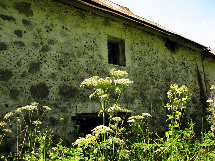 Zieniewicze. Młyn wodny 