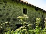 Zieniavičy.  Water-mill 