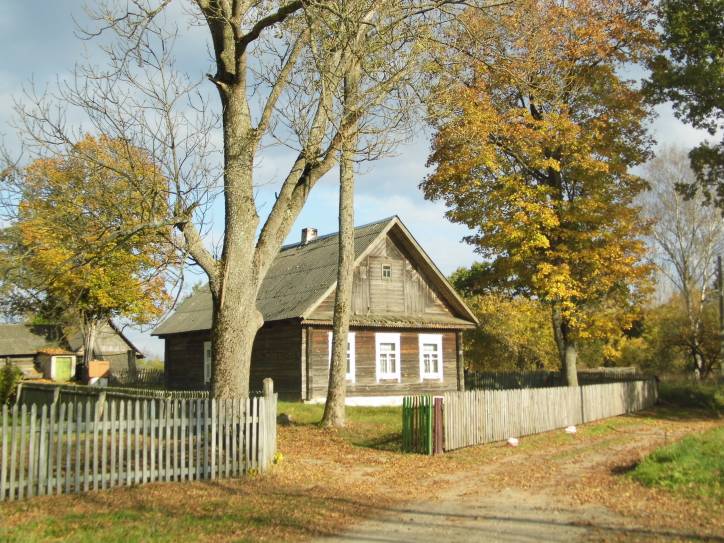 Zieniavičy. Landscapes 