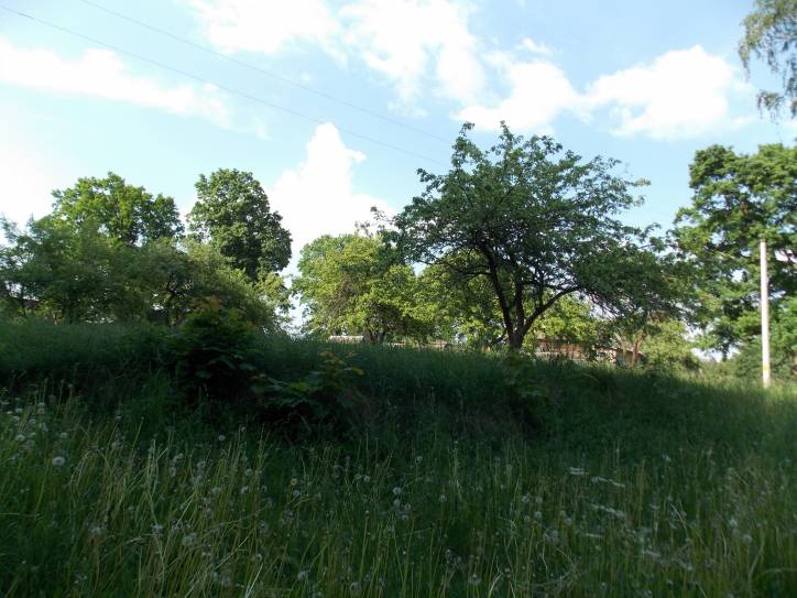 Zieniavičy. Landscapes 