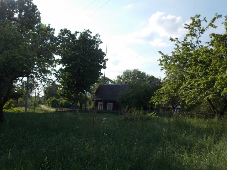 Zieniavičy. Landscapes 
