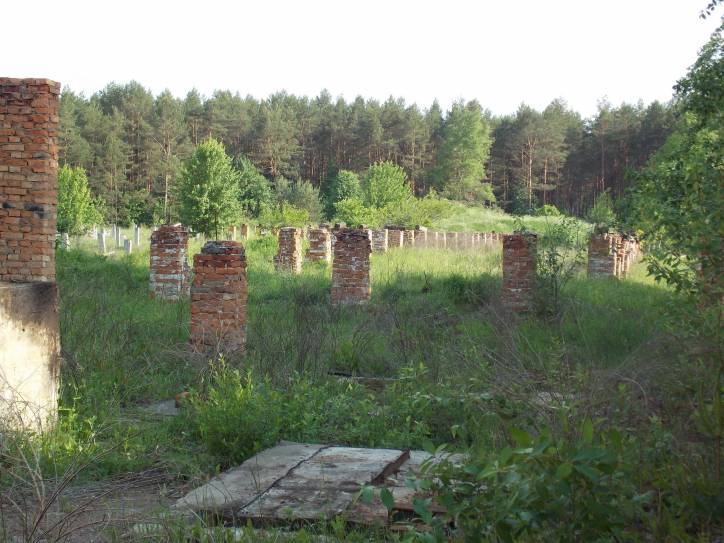 Zieniavičy. Landscapes 