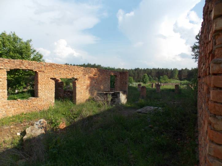 Zieniavičy. Landscapes 