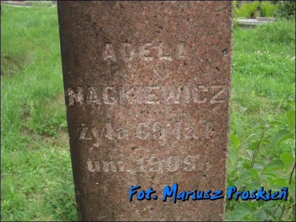 Лаздзее |  Могілкі старыя каталіцкія. 