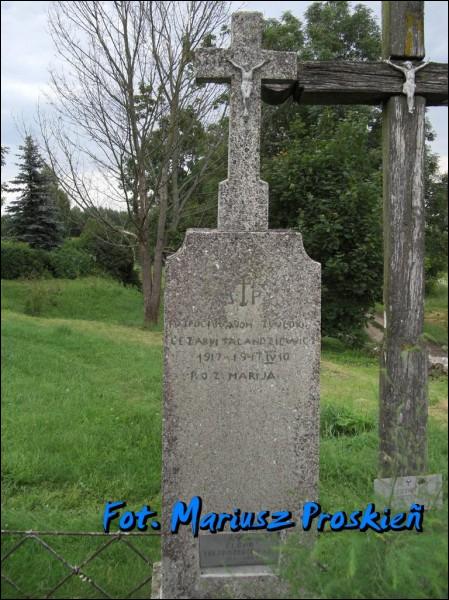 Лаздзее |  Могілкі старыя каталіцкія. 