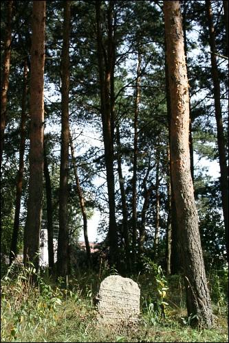 Вейсеяй. Кладбище еврейское