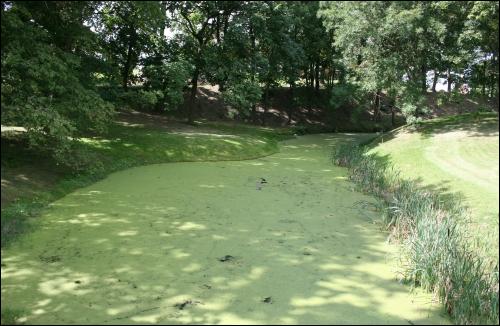  - Zespół pałacowo-parkowy . Park pałacowy