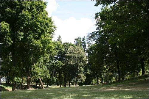  - Zespół pałacowo-parkowy . Park pałacowy