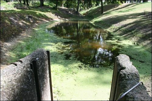 - Zespół pałacowo-parkowy . Zakątek w parku