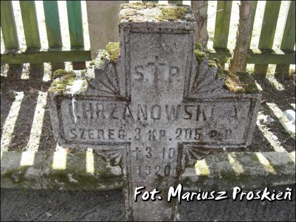  -  Tomb of Polish soldiers died in 1920. 