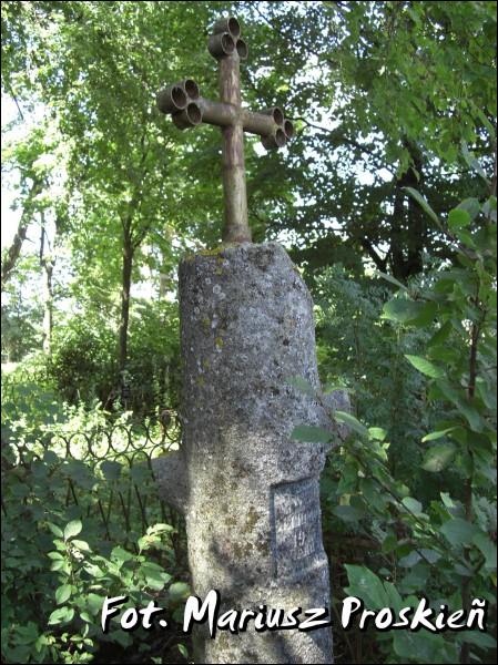 Дзісна. Могілкі старыя каталіцкія