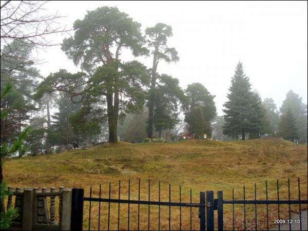 Сорак Татараў. Могілкі вясковыя