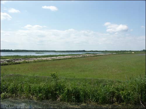  - Пейзажи . Фальваркавая сажалка