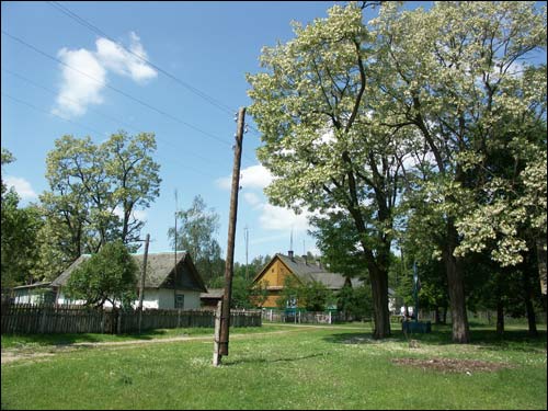  - Пейзажи . Месца, дзе стаяў сядзібны дом