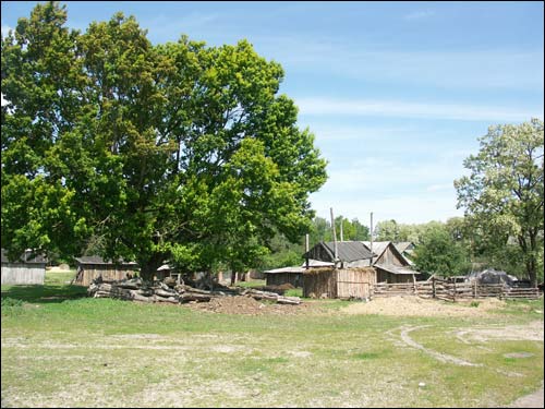  - Пейзажи . Тут месьціўся гаспадарчы двор