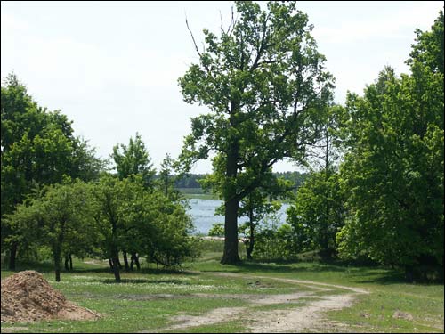  - Пейзажи . Від на сажалку з пагорка
