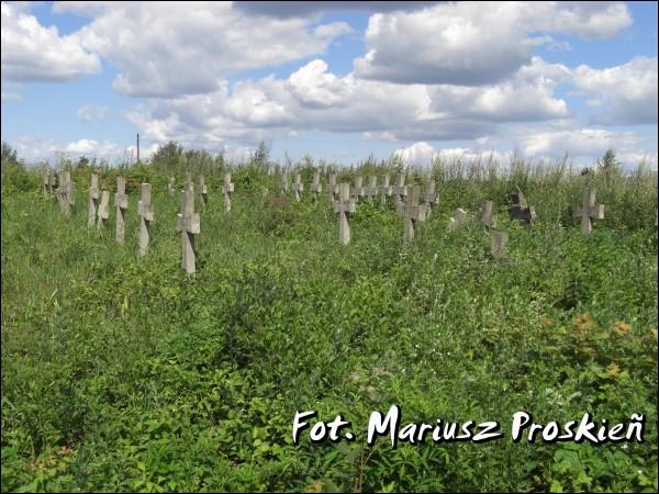 Лужкі. Могілкі польскіх жаўнераў палеглых у 1920г. 