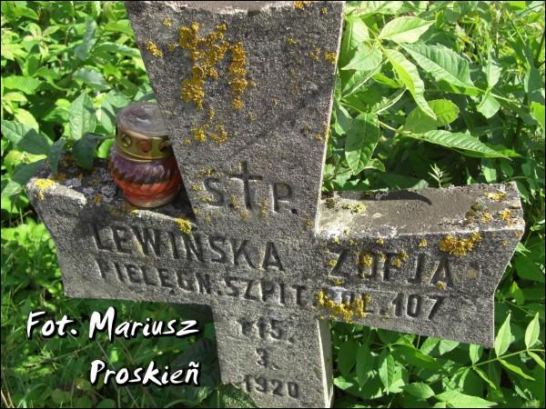  - Могілкі польскіх жаўнераў палеглых у 1920г. . 