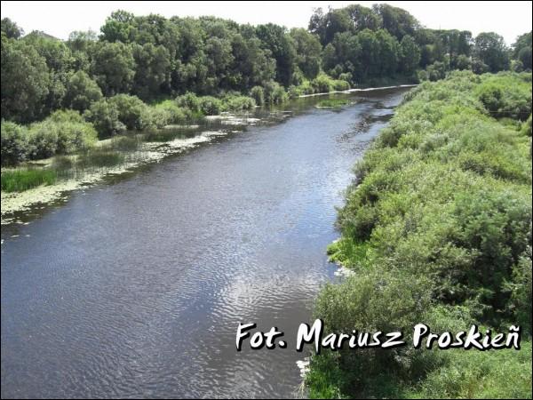 Hermanowicze. W miasteczku 