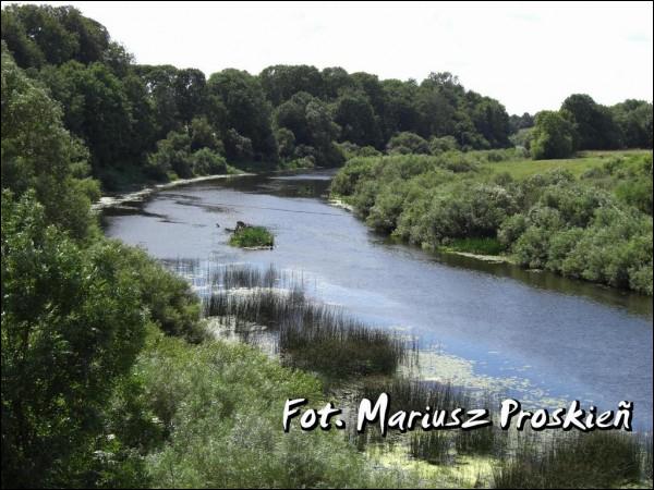 Hermanowicze. W miasteczku 