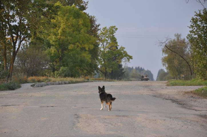 Hermanowicze. W miasteczku