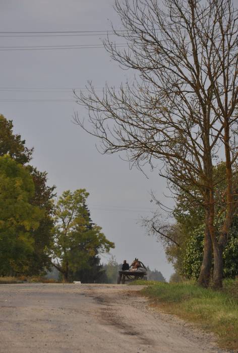 Hermanowicze. W miasteczku