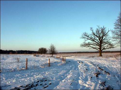 Lešnica. Landscapes 