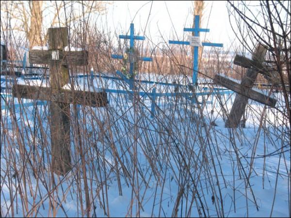 Ogrodnia-Homelska |  Cmentarz . 