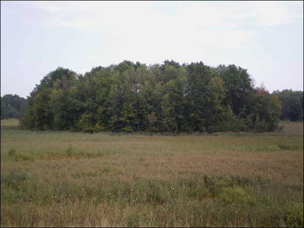 Kubličy. Site of ancient settlement 