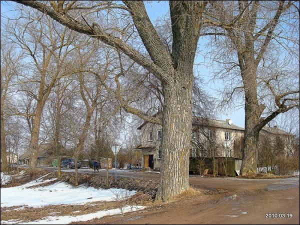 Шрубишки (Шрюбишкес) |  В деревне . Въезд в деревню