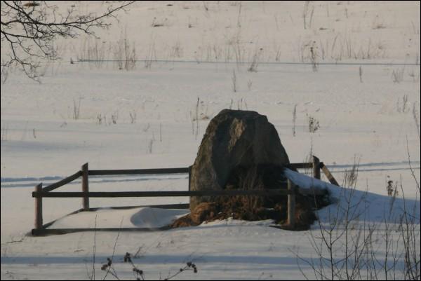 Łosza |  We wsi . Kamień na miejscu dwora (03/2010)