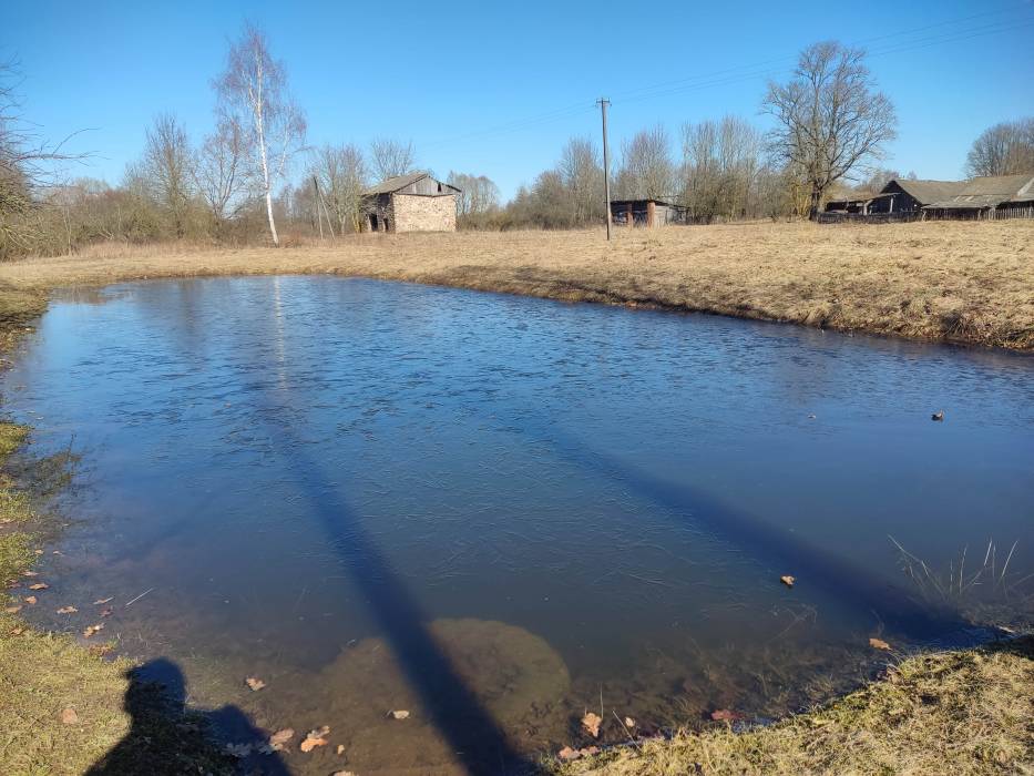 Dwór gospodarczy  .   - Dwór gospodarczy .