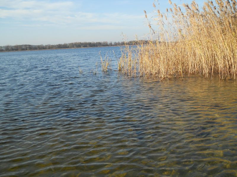  - Пейзажи . Олтушское озеро