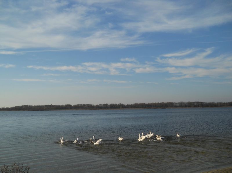  - Пейзажи . Олтушское озеро