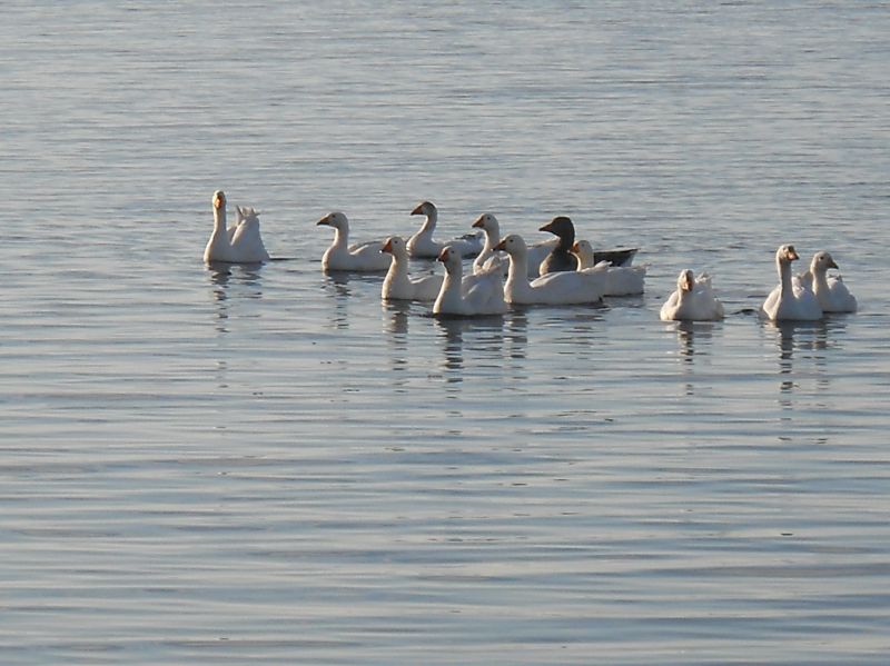  - Пейзажи . Олтушское озеро