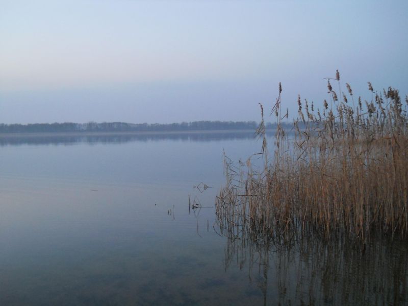  - Пейзажи . Олтушское озеро