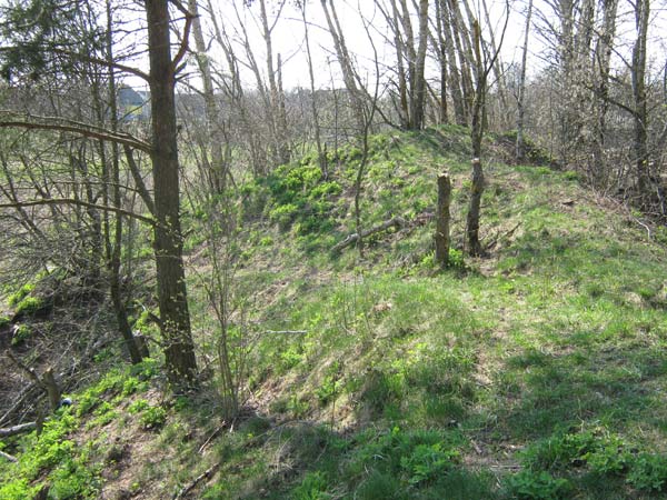 Новый Быхов. Замчище 