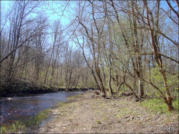 Муснинкай (Мусники). Усадебно-парковый ансамбль 