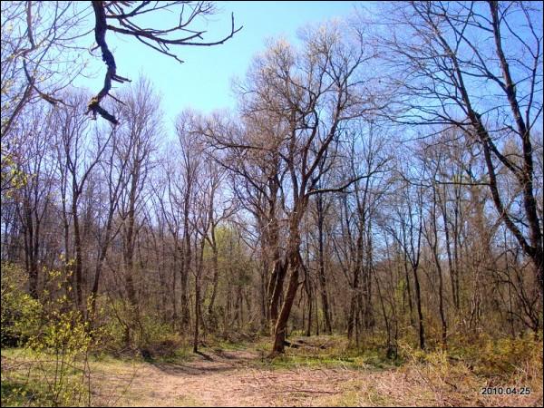 Муснинкай (Мусники). Усадебно-парковый ансамбль 