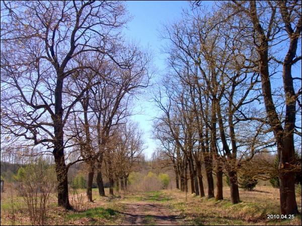 Муснинкай (Мусники). Усадебно-парковый ансамбль 