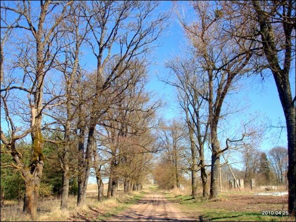 Муснинкай (Мусники). Усадебно-парковый ансамбль 