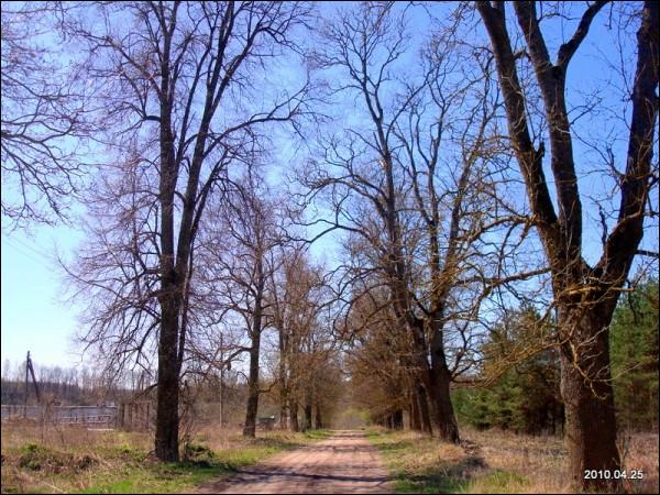 Муснинкай (Мусники). Усадебно-парковый ансамбль 