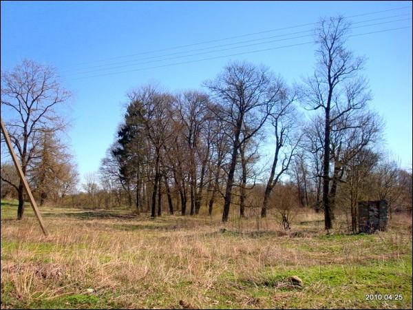 Муснинкай (Мусники). Усадебно-парковый ансамбль 