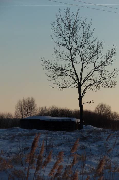 Orzechowo. Krajobrazy 