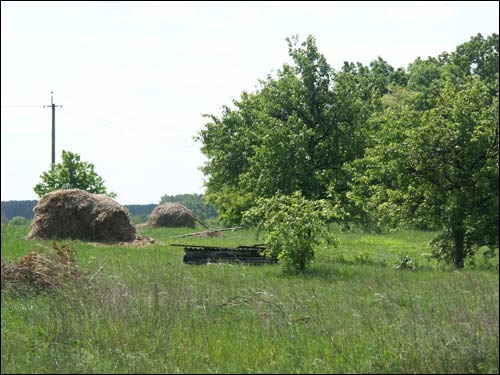 Orzechowo. Krajobrazy 