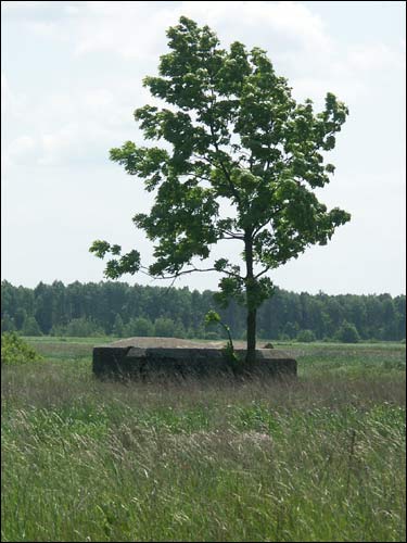 Arechava. Landscapes 